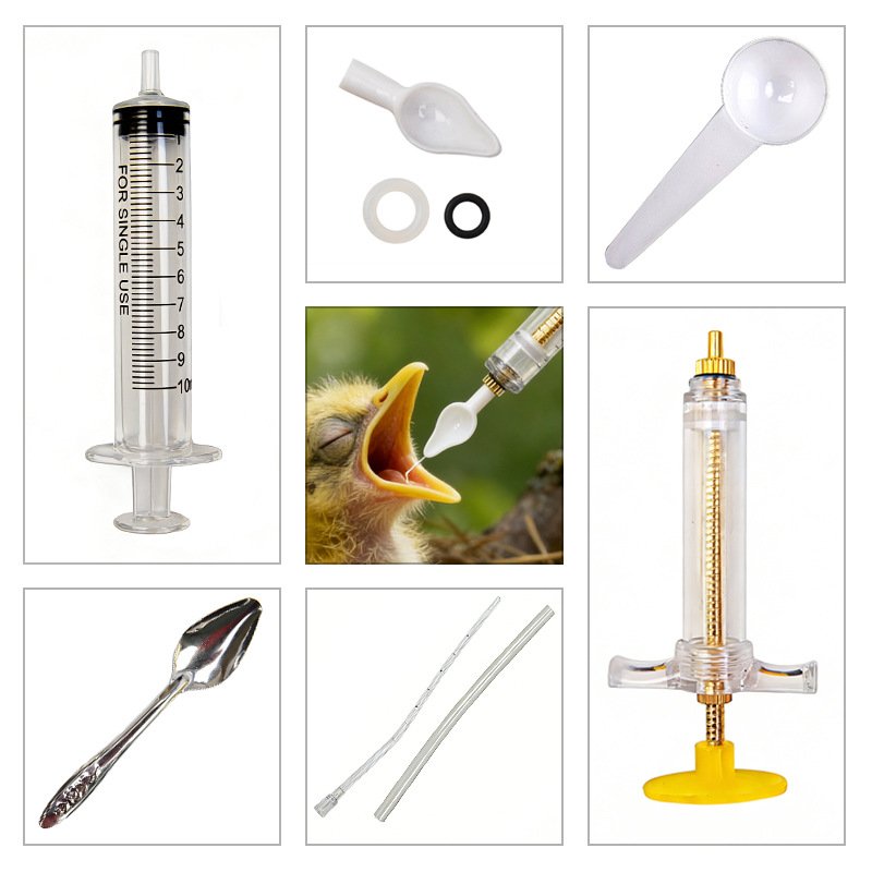 Food Grade Bird Feeder for Bab - Baby Food Youtube ulasan dan harga